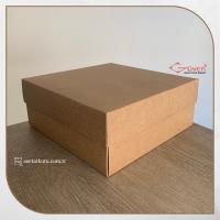 25x25x10 Kraft Komple Karton Kutu 