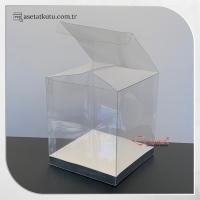 9x9x10 Gümüş İç Yükselticili Otomatik Asetat Kutu